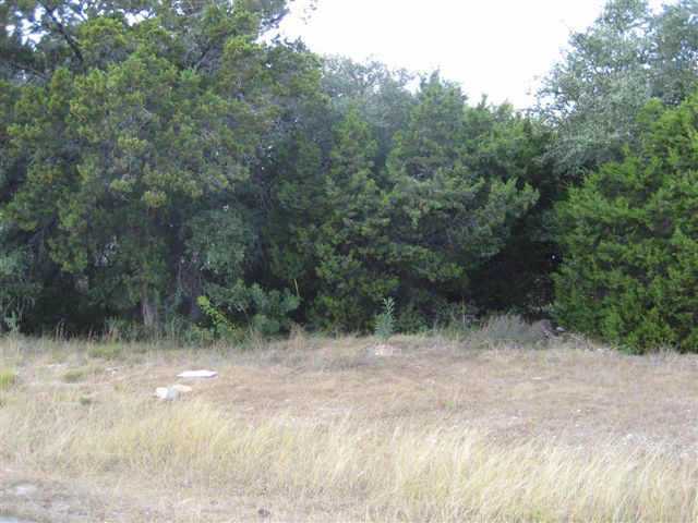 14 Lost Meadow Trl, The Hills, TX 78738
