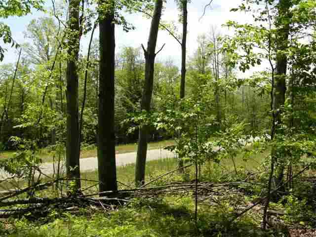 4 YELLOW BIRCH LN, Traverse City, Michigan Homes & Land - Real Estate