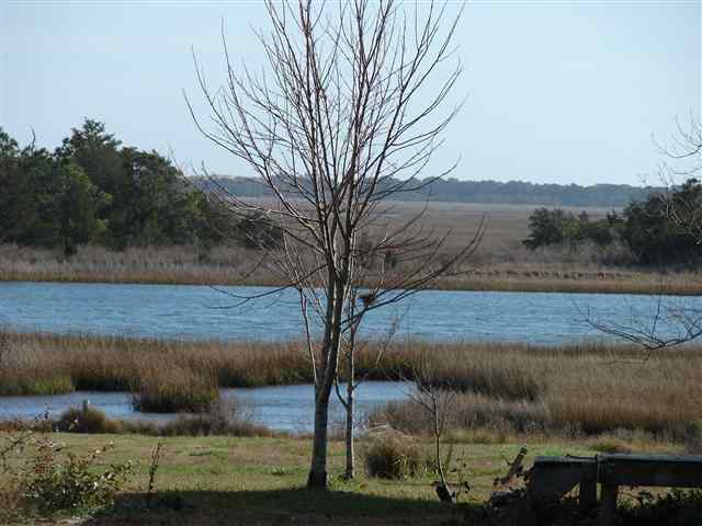 135 Shell Rock Lane, Hubert, North Carolina Homes & Land - Real Estate