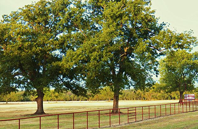 0000 County Road 88, Celina, Texas Homes & Land - Real Estate